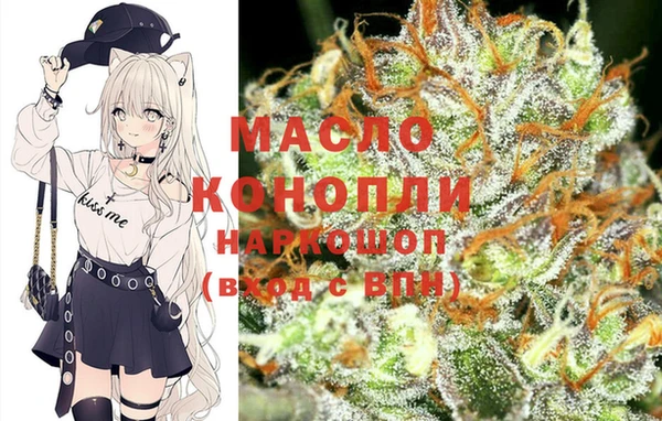 амф Елабуга