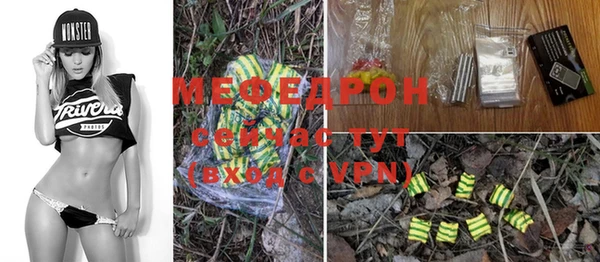 молекула духа Ельня