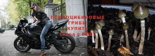 бутик Заводоуковск