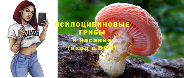 молекула духа Ельня