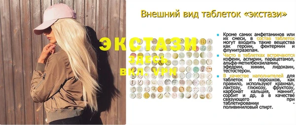 молекула духа Ельня