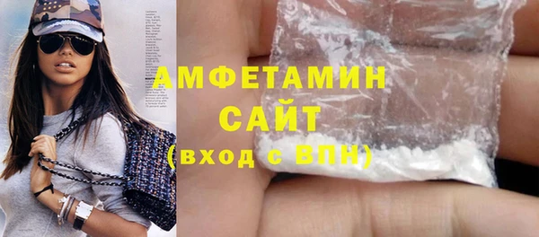 молекула духа Ельня