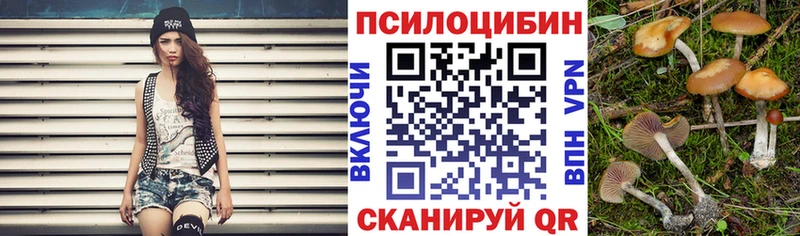 Псилоцибиновые грибы мицелий Сковородино